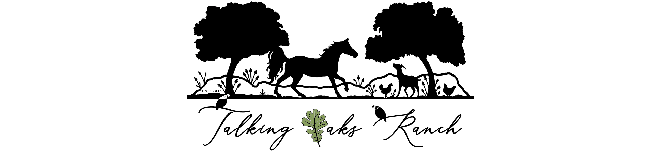 profile banner